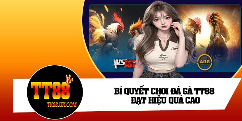 Bí quyết chơi đá gà TT88 đạt hiệu quả cao
