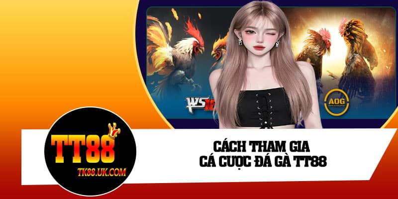Cách tham gia cá cược đá gà TT88