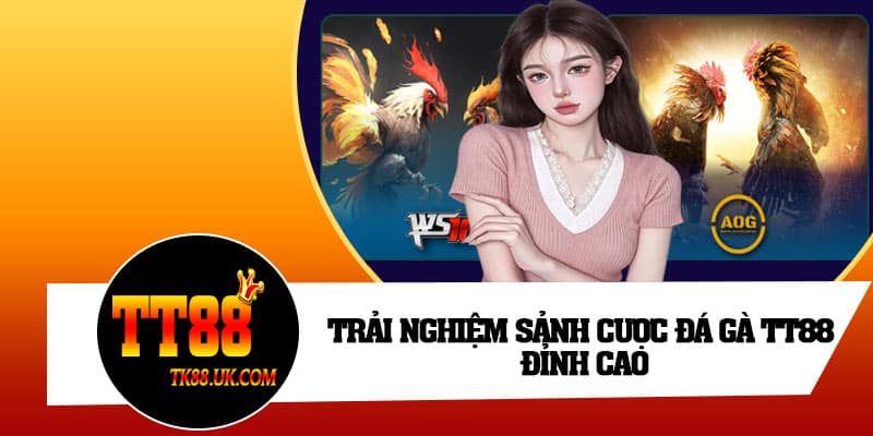 Trải nghiệm sảnh cược đá gà TT88 đỉnh cao